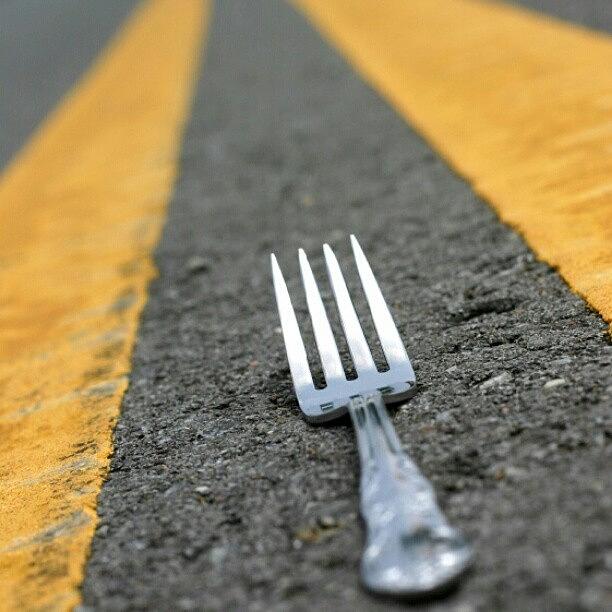 1. Fork {in The Road} *sniggers* Photograph by Coral-Leigh Stuart-deLange