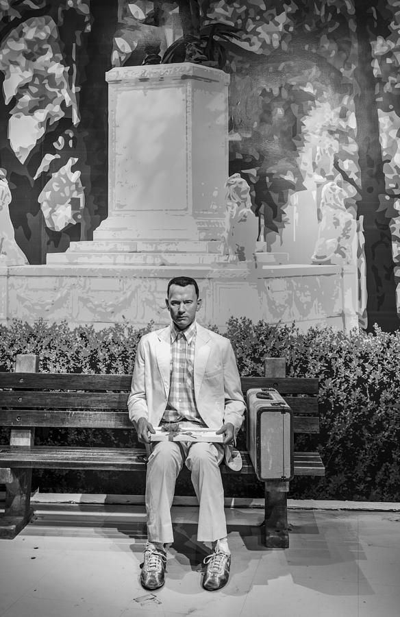 Forrest Gump Photograph - Forrest Gump by Mountain Dreams