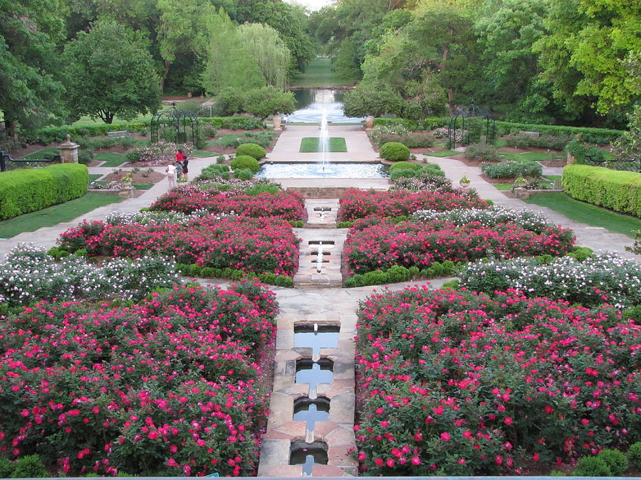 Fort Worth Botanical Gardens #1 Photograph by Shawn Hughes