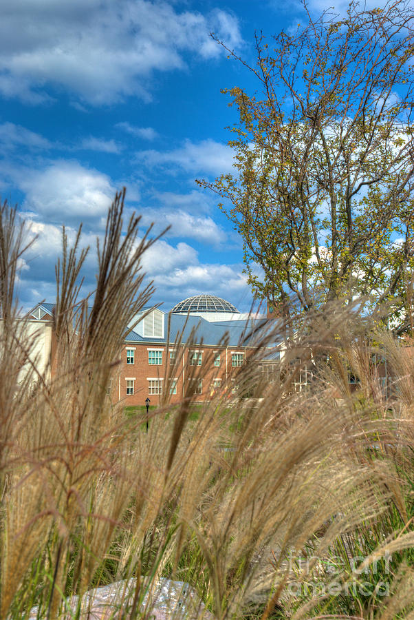 Founders Hall through the grasses #1 Photograph by Mark Dodd
