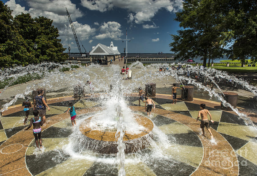 Fountain at Waterfront Park in Charleston #1 Photograph by David Oppenheimer