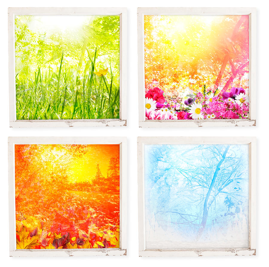 Spring Photograph - Four seasons #1 by Jo Ann Snover
