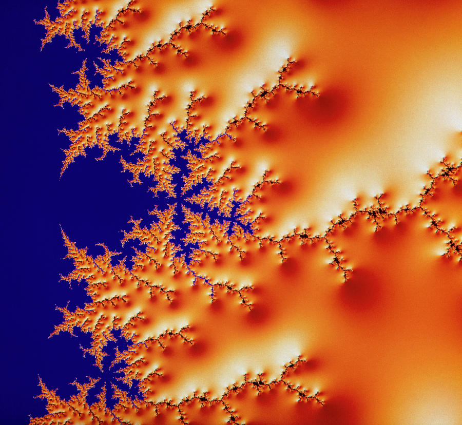 Fractal 3-d Image Of The Mandelbrot Set #1 Photograph by Alfred Pasieka/science Photo Library