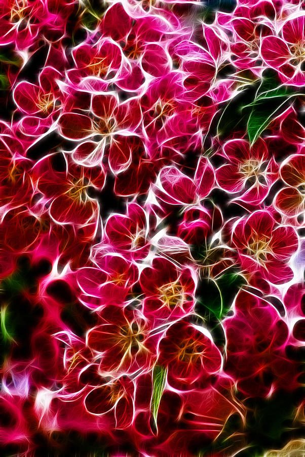 Fractal Flowers #1 Photograph by Prince Andre Faubert