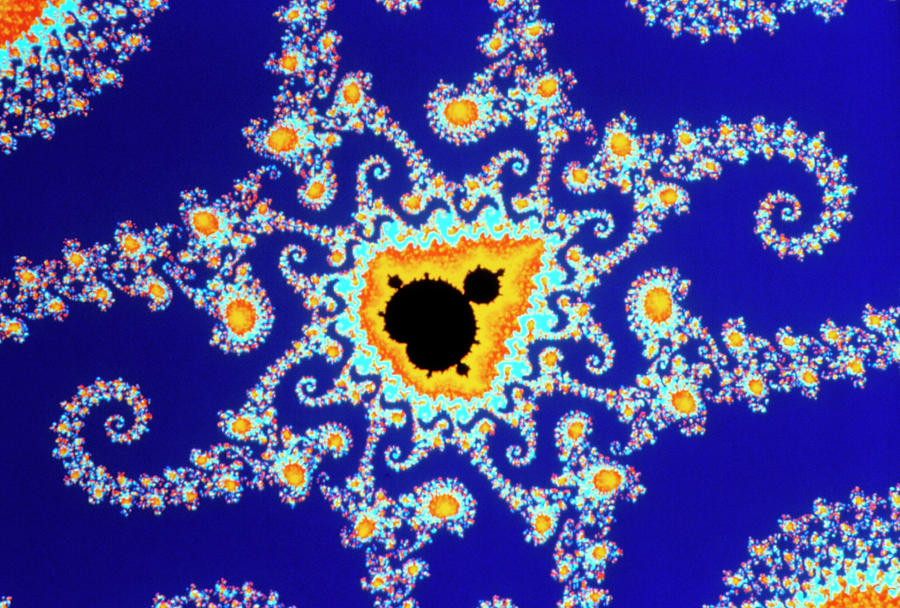 Fractals Photograph - Fractal Geometry Showing Mandelbrot Set #1 by Alfred Pasieka/science Photo Library