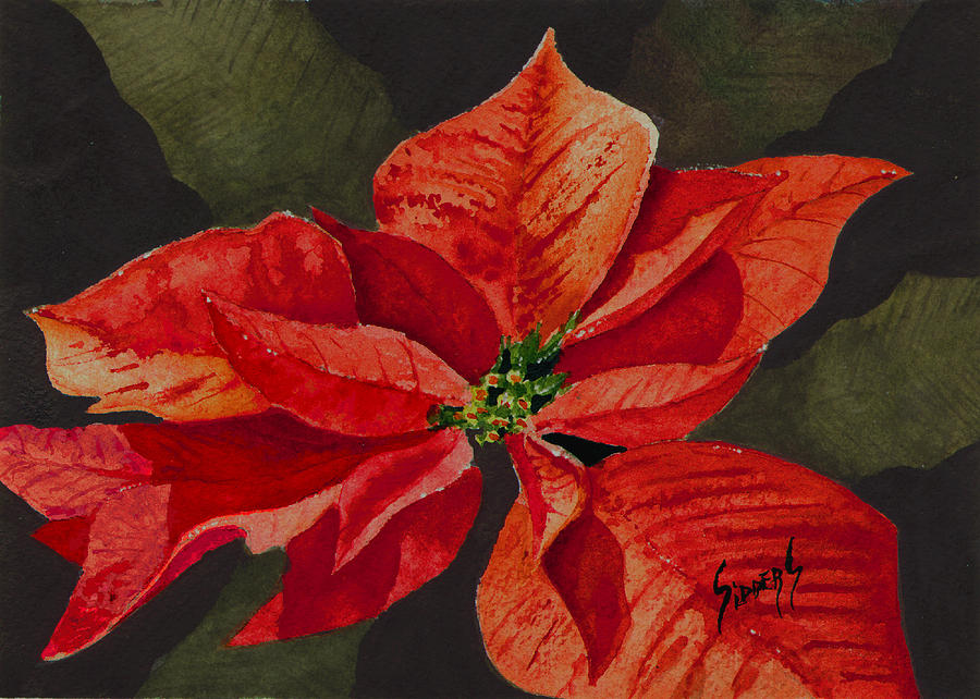 Francis Poinsettia #1 Painting by Sam Sidders