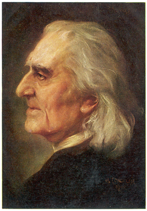 Franz Liszt Hungarian Musician Drawing by Mary Evans Picture Library