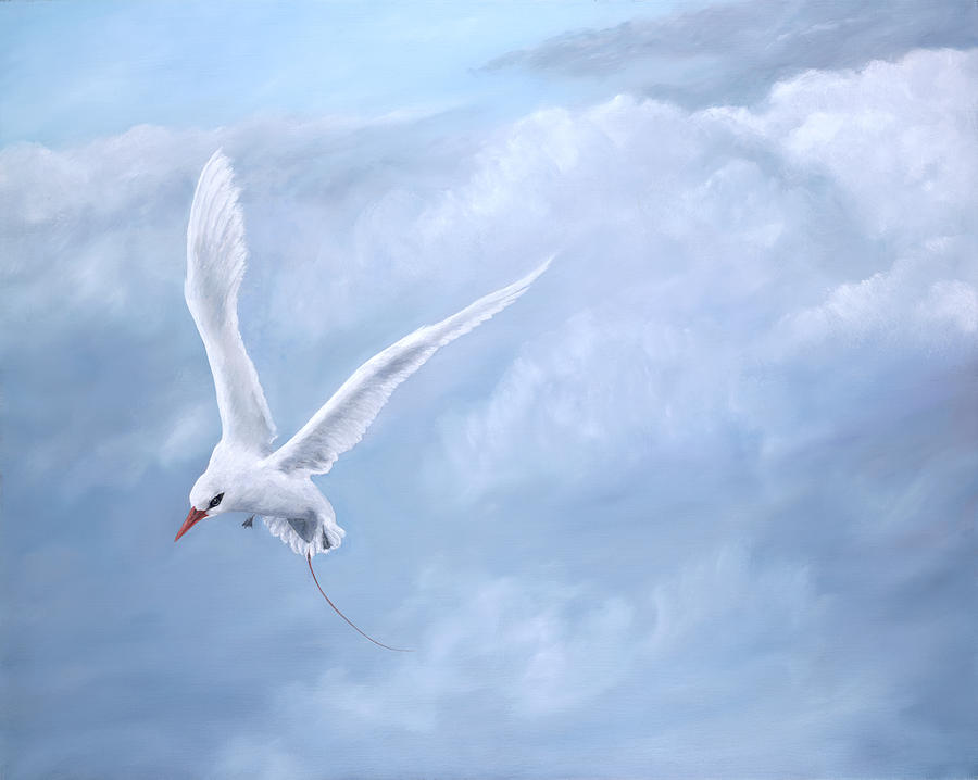 Red Tailed Tropicbird Painting - Freedom by Dorothea Hyde Red Tailed Tropicbird Painting - Freedom by Dorothea Hyde