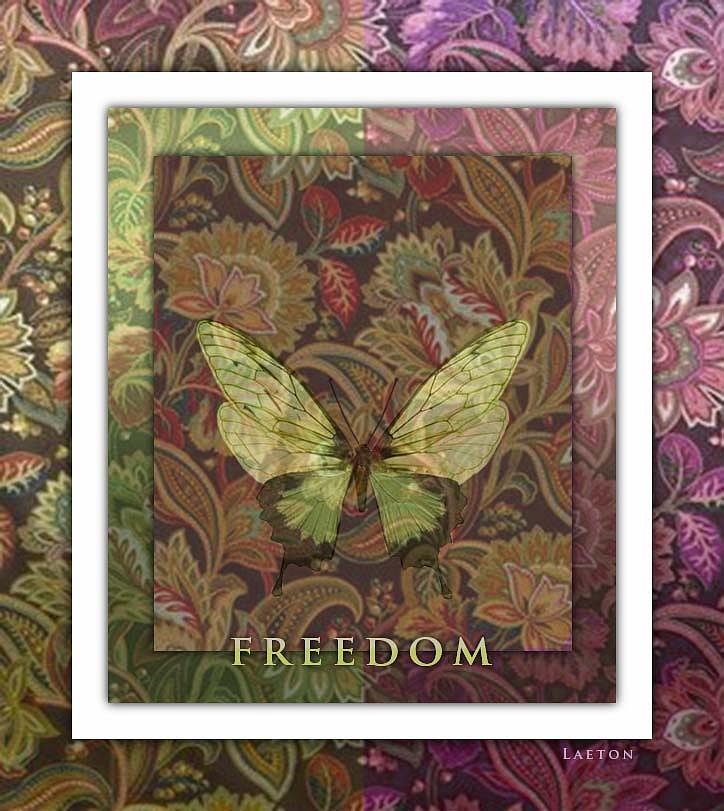 Freedom #1 Photograph by Richard Laeton