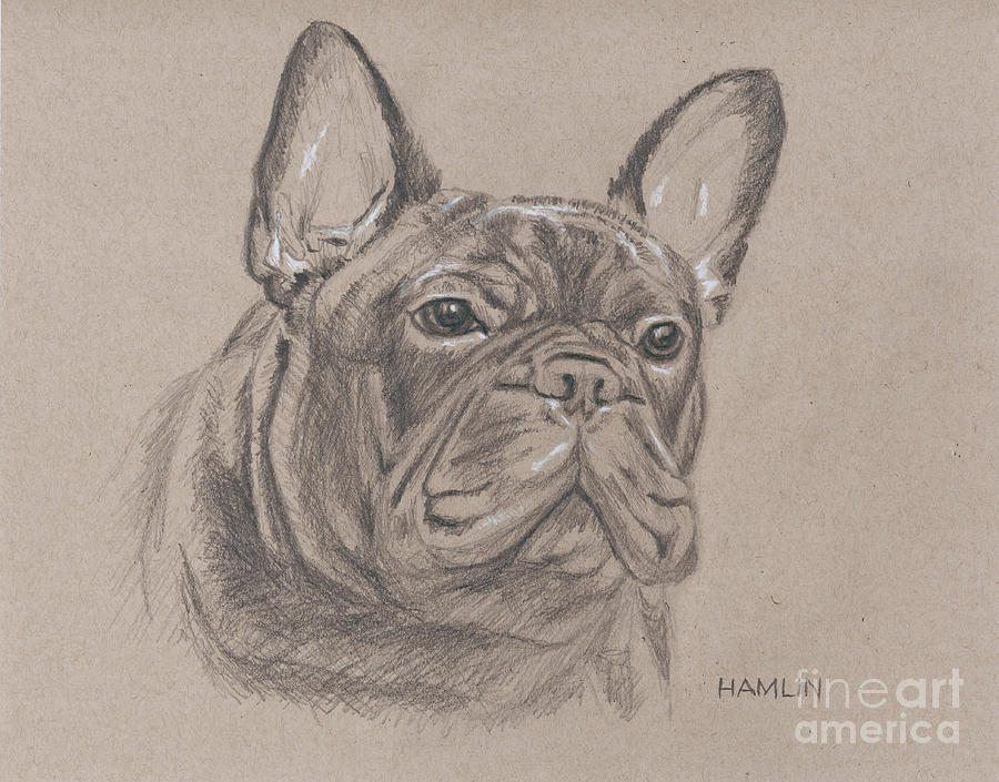 French Bulldog - Snickers #1 Painting by Steve Hamlin