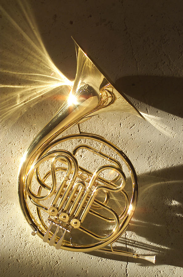 French Horn II Photograph by Jon Neidert