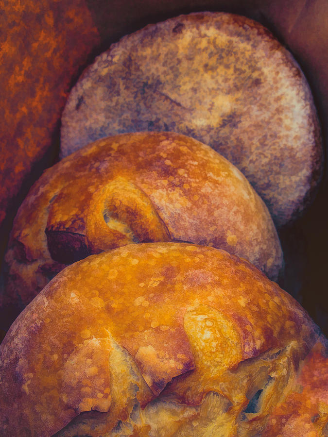 Fresh bread #1 Photograph by David Kay