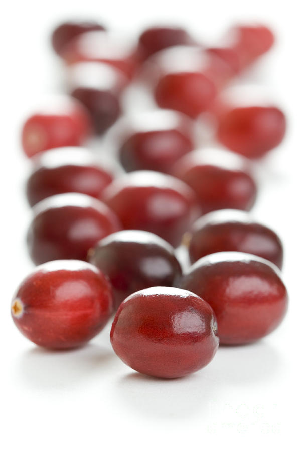Fresh Cranberries Isolated #1 Photograph by Lee Avison