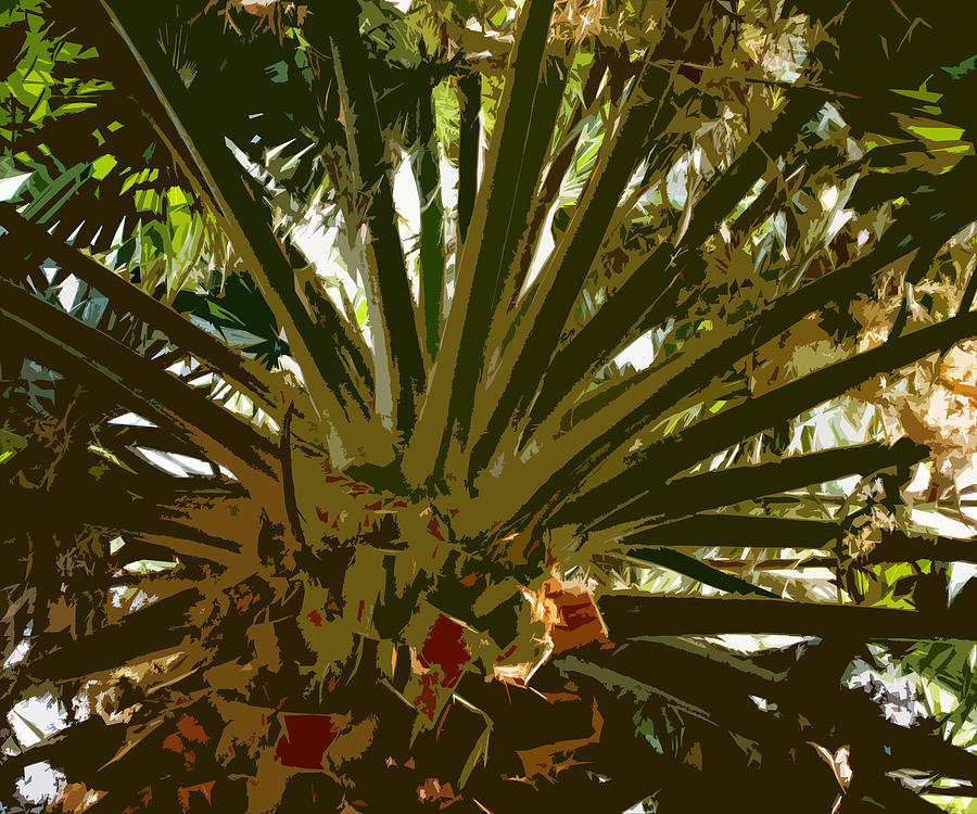 Fresh cut palm 2 #1 Photograph by Alan Metzger