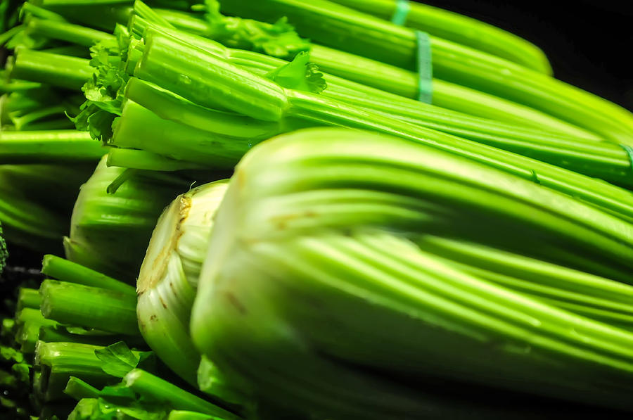 Fresh group of Celery #1 Photograph by Alex Grichenko