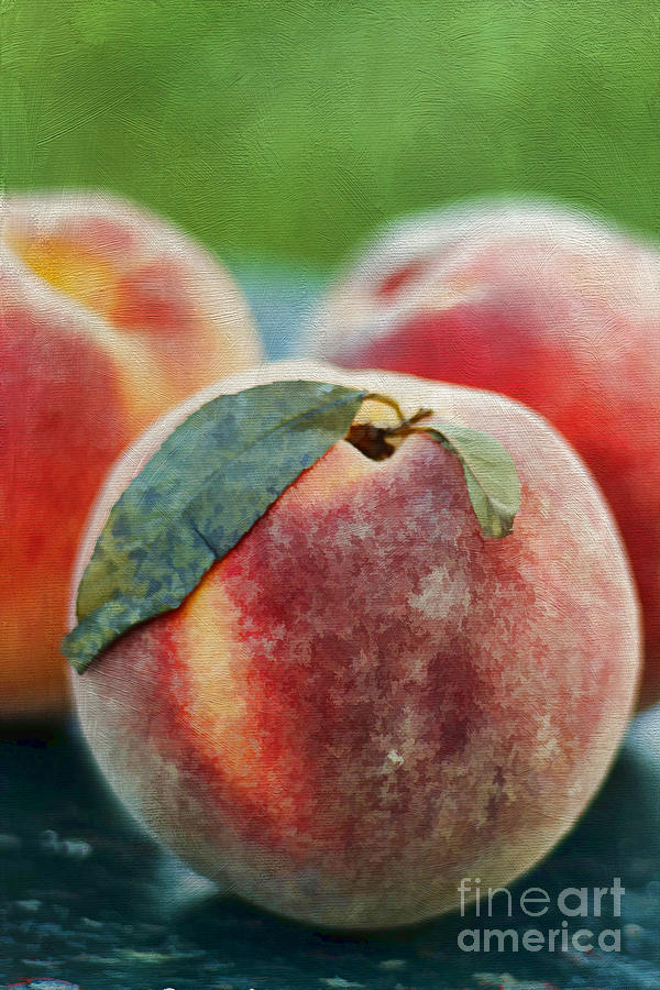 Fresh Peaches #1 Photograph by Darren Fisher