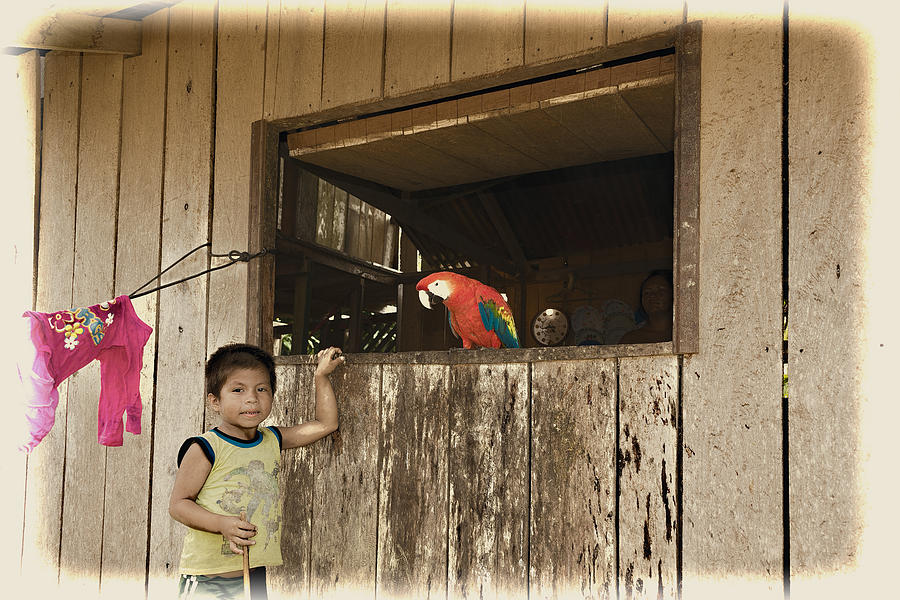 Parrot and Boy Photograph by Maria Coulson
