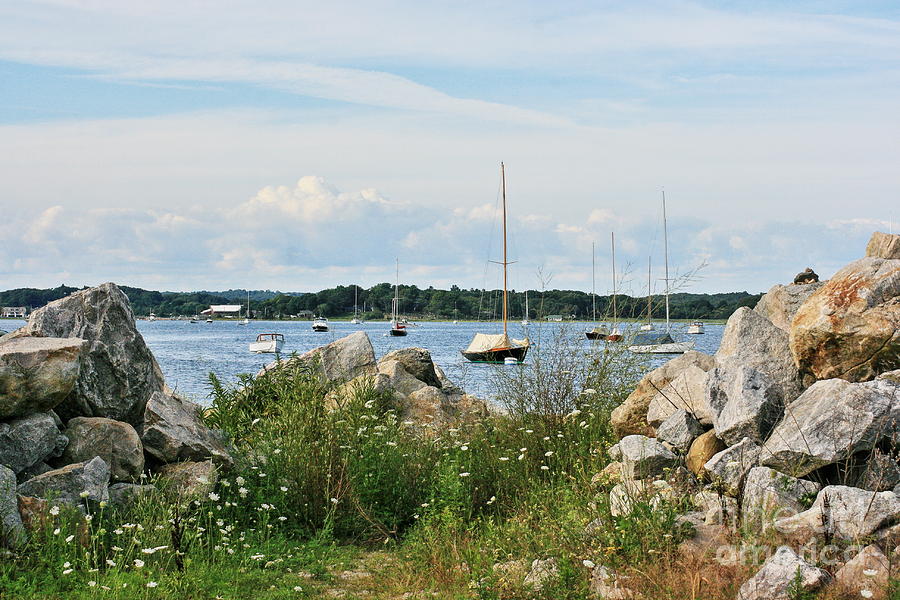 From Enders Island Photograph