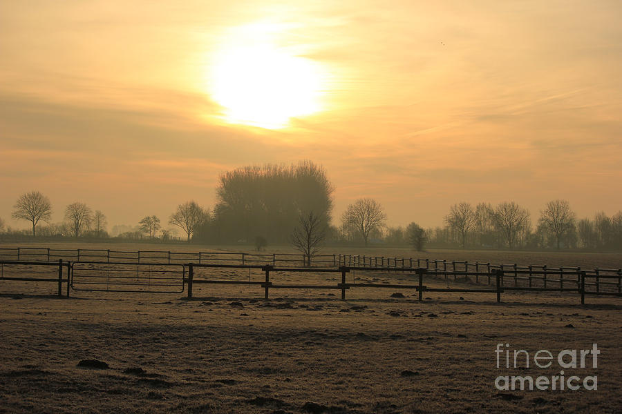 Frosty Morning Photograph