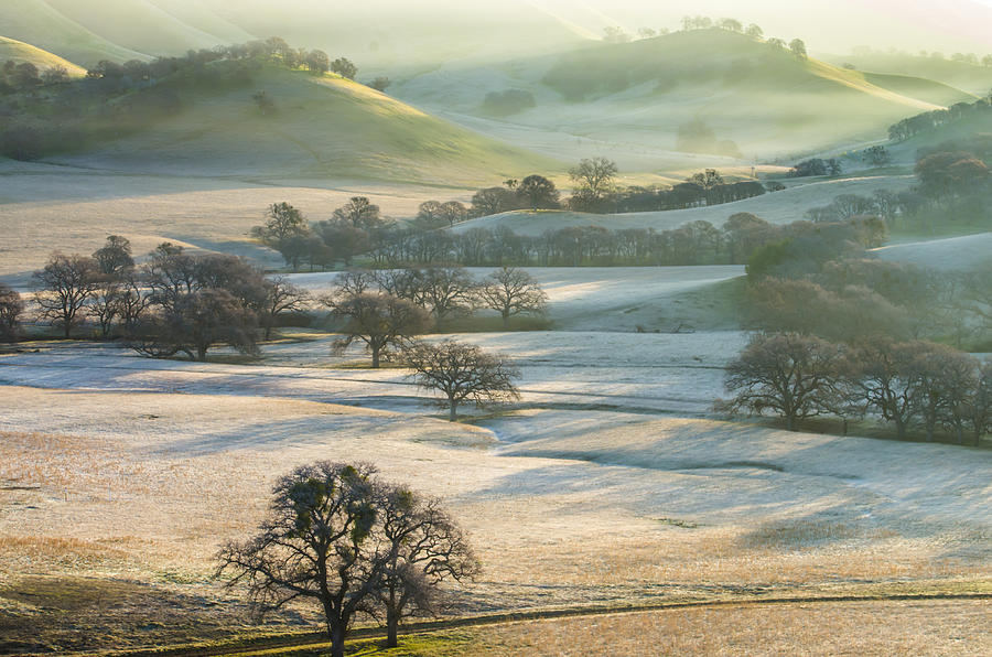 Frosty Round Valley #1 Photograph by Marc Crumpler