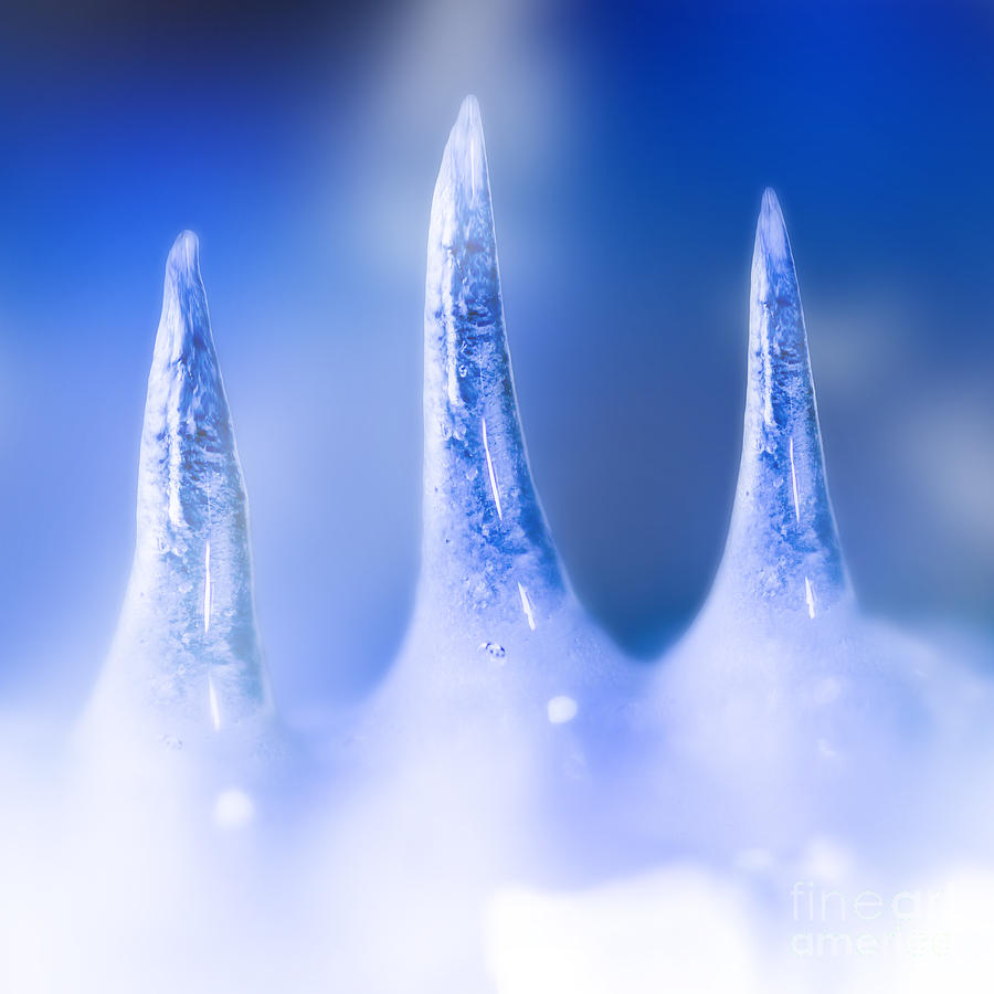 Frozen icicle melting from snow and ice glacier  #1 Photograph by Jorgo Photography
