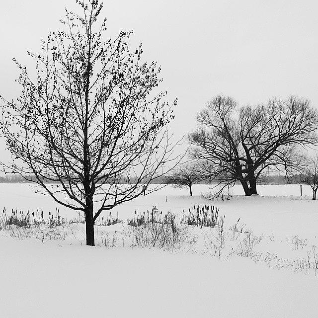 Detroit Photograph - Frozen Orchard Lake, Michigan #detroit #1 by Fotochoice Photography