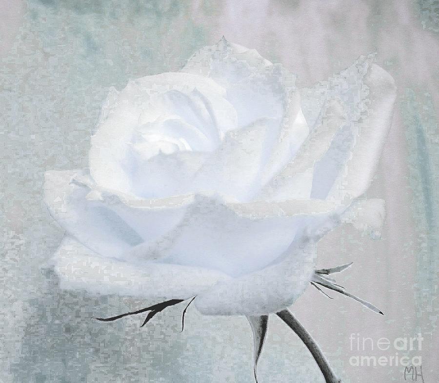 Rose Photograph - Frozen White Rose #1 by Marsha Heiken