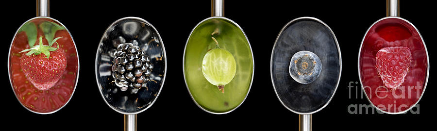 Blueberry Photograph - Fruit Spoons on Black by Tim Gainey