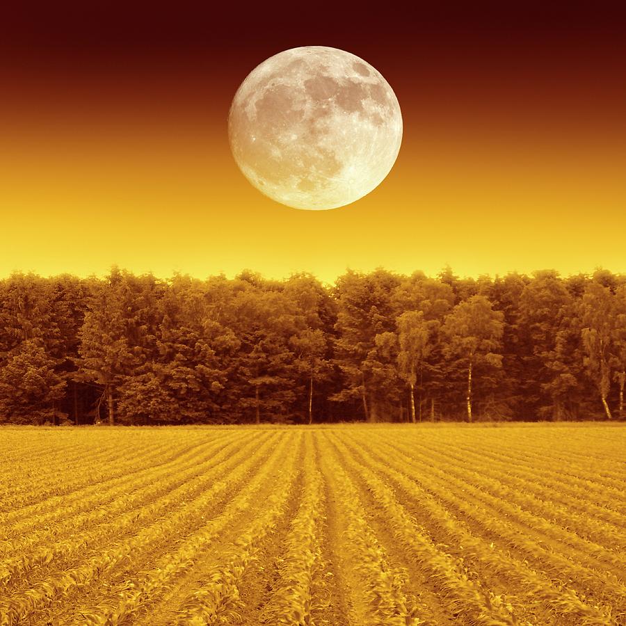 Full Moon Over A Field #1 Photograph by Detlev Van Ravenswaay