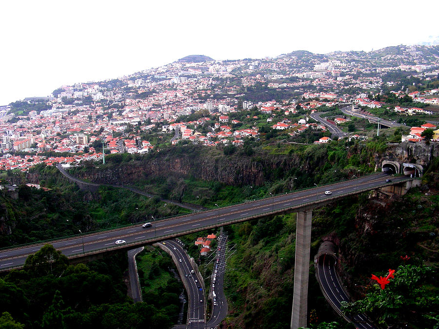 Funchal #1 Photograph by Jean Wolfrum