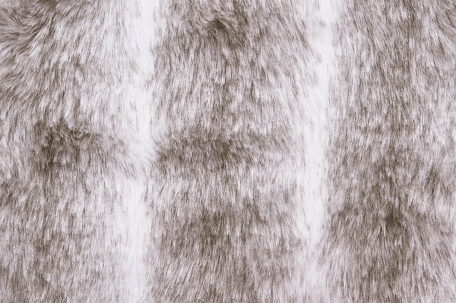 Fur background #1 Photograph by Tom Gowanlock