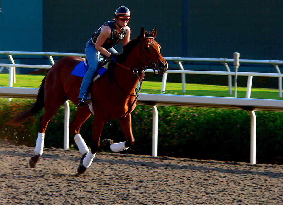 Galloping Race Horse #1 Photograph by Jeff Lowe