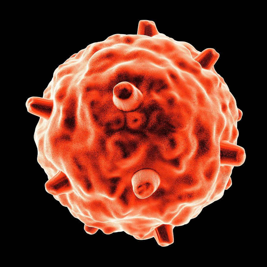 Gammaretrovirus Photograph By Mehau Kulyk - Fine Art America