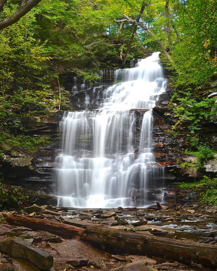 Ganoga Falls #1 Photograph by Frozen in Time Fine Art Photography