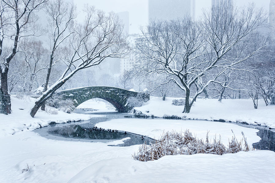 Gapstow Bridge Central Park Snowstorm #1 Photograph by Matejphoto