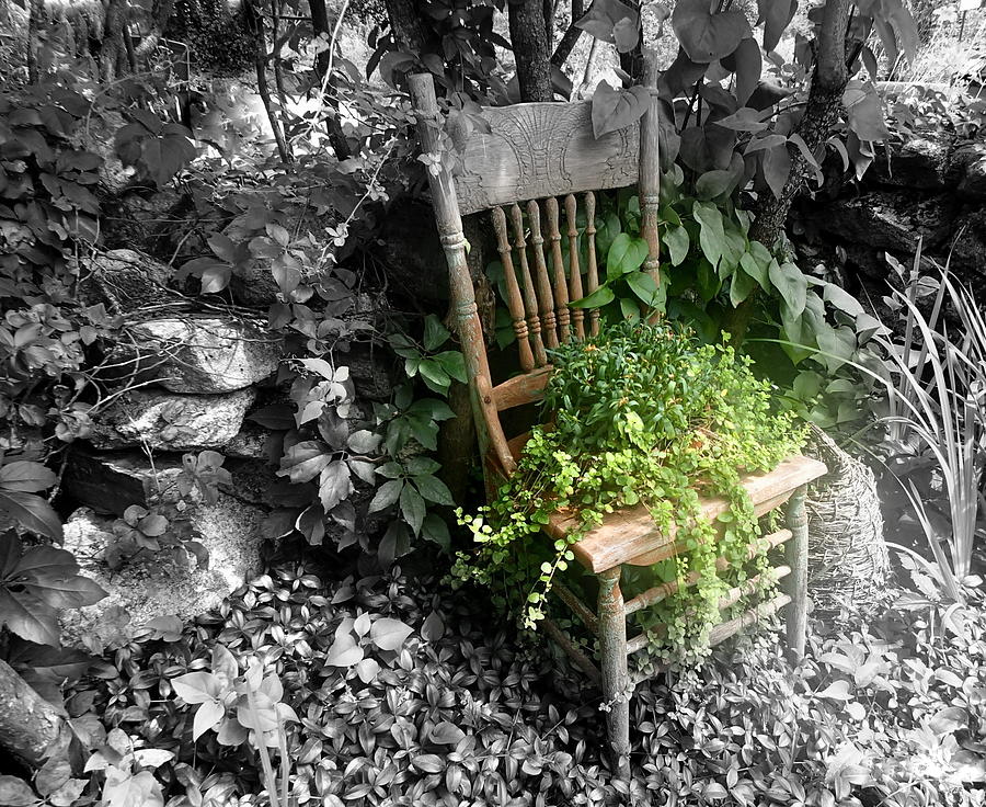 Garden Chair #1 Photograph by Lois Lepisto