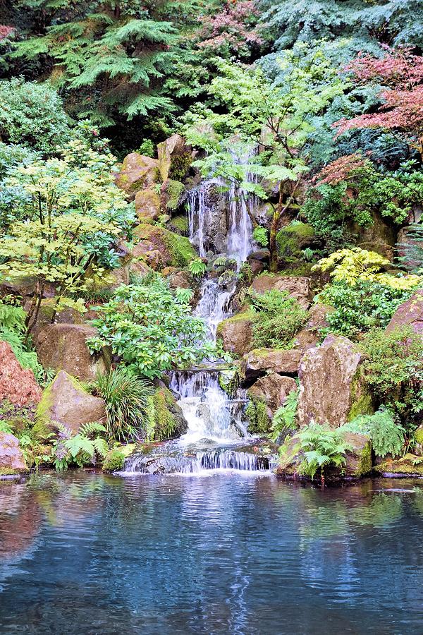 Garden Waterfall #2 Photograph by Jane Girardot