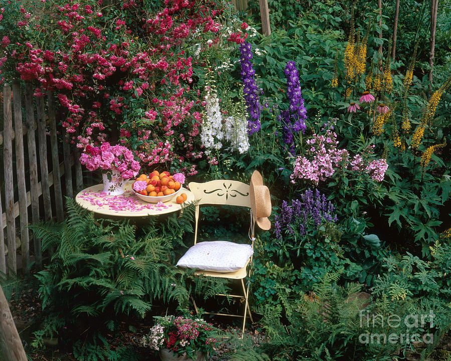 Garden With Chair #1 Photograph by Hans Reinhard Garden With Chair #1 Photograph by Hans Reinhard