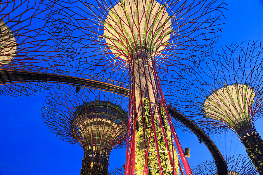 Gardens by the bay #1 Photograph by Henry MM