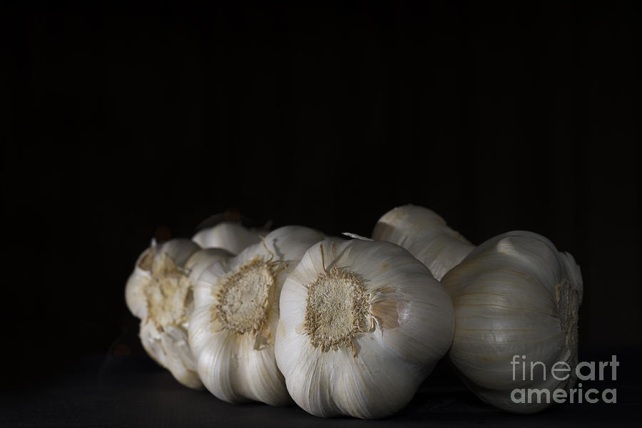 Vegetable Photograph - Garlic #1 by Mats Silvan