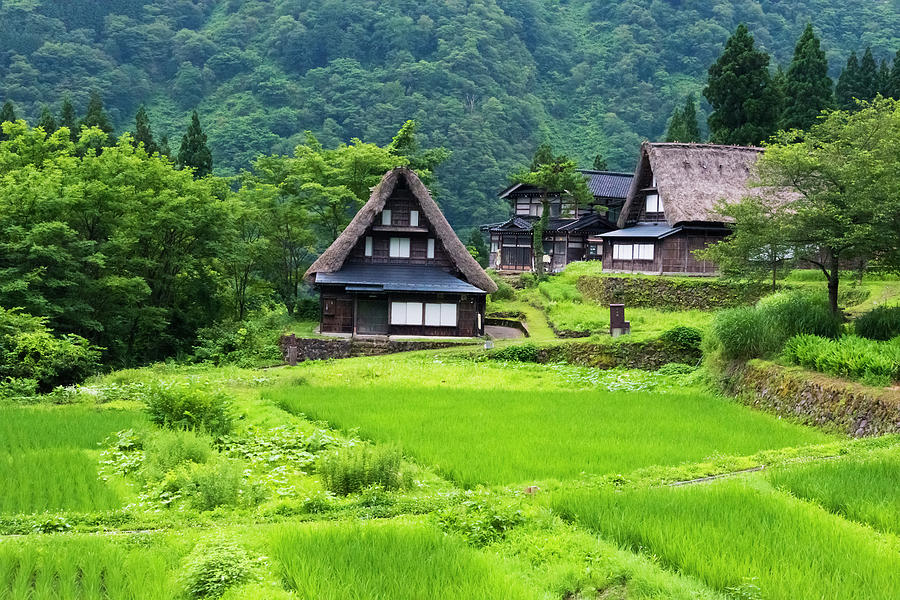 Gassho-zukuri Houses In The Mountain Photograph by Keren Su - Fine Art ...