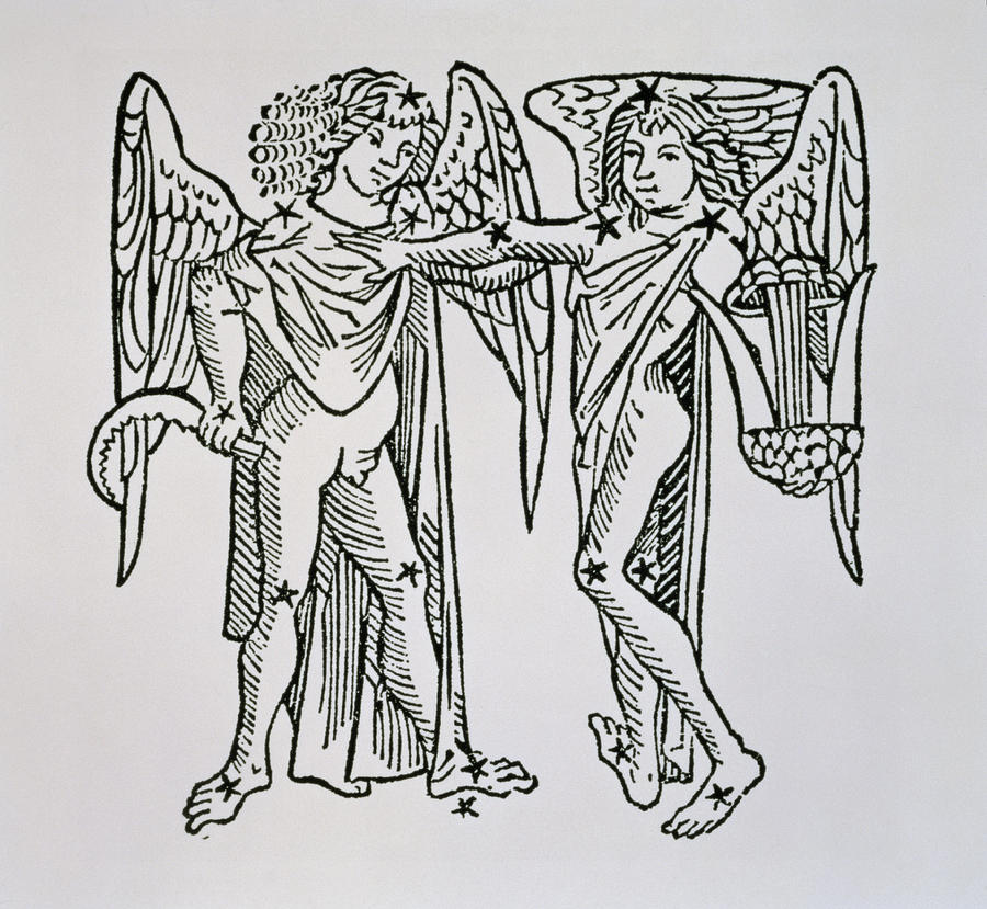 Gemini An Illustration Drawing by Italian School Fine Art America