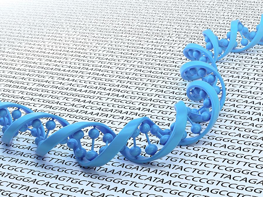 Genetic Code #1 Photograph by Andrzej Wojcicki/science Photo Library