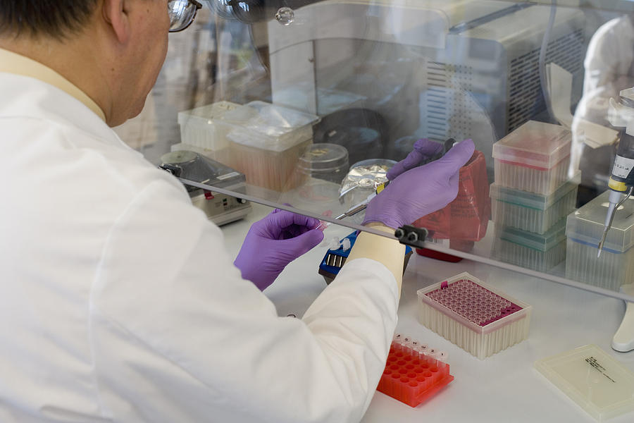 Genetics Researcher Using Pipette #1 Photograph by Science Stock Photography