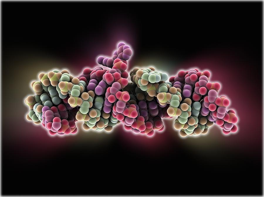 Hiv Photograph - Genomic HIV-RNA duplex #1 by Science Photo Library