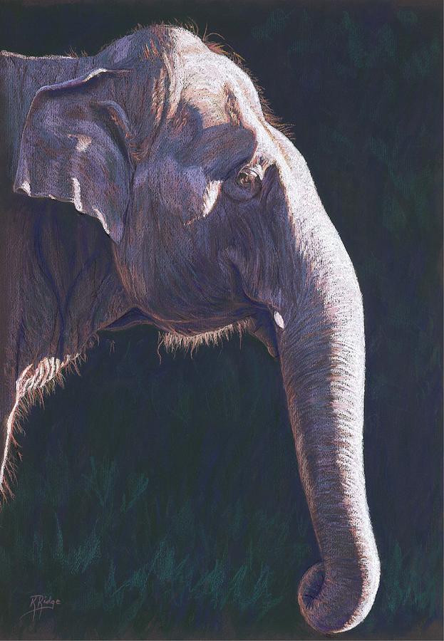 Gentle Giant #1 Painting by Kay Ridge