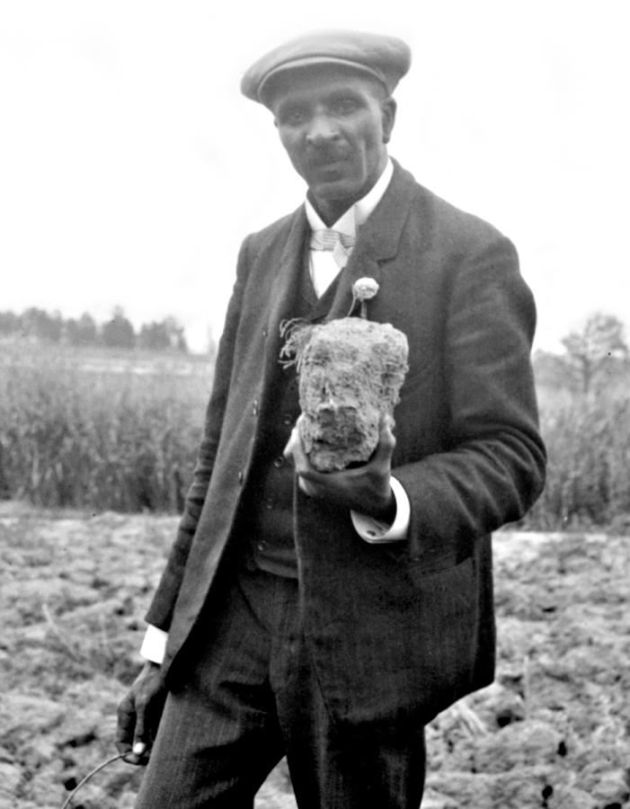 Science Photograph - George W. Carver, American Botanist #1 by Science Source