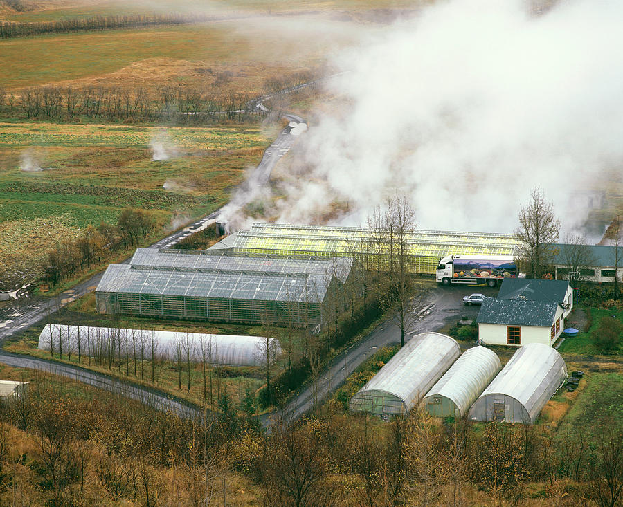 Clean Photograph - Geothermally Heated Greenhouses by Martin Bond/science Photo Library Clean Photograph - Geothermally Heated Greenhouses by Martin Bond/science Photo Library