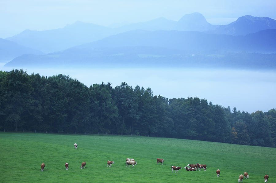 Germany, Bavarian Alps #1 Photograph by Hiroshi Higuchi