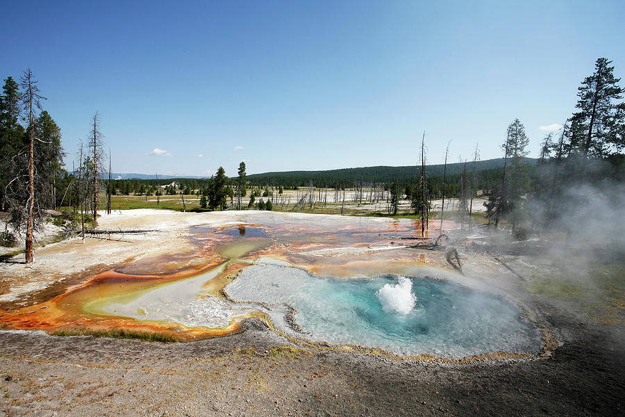 Geyser #1 Photograph by Peter Falkner/science Photo Library
